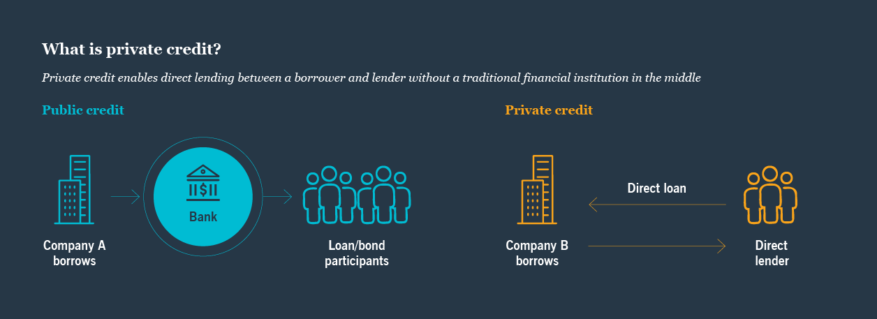 What is private credit infographic