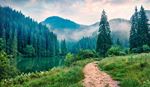 Mountain lake beside a forested trail in misty weather