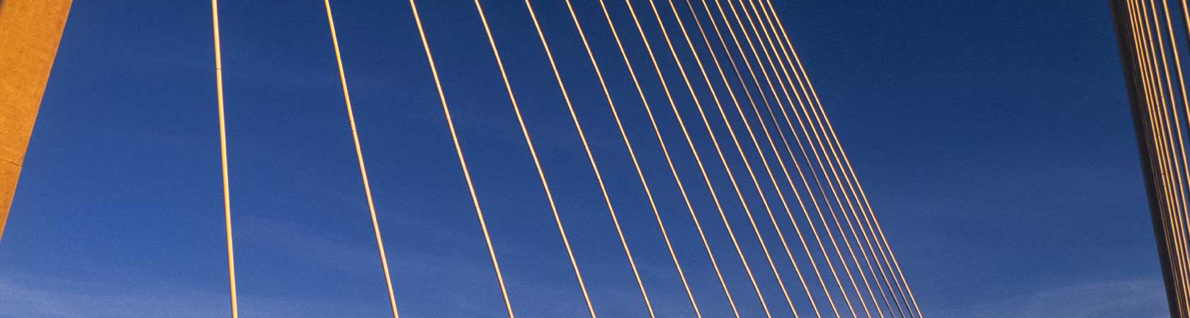 Municipal bond investing hero