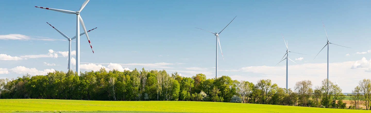 Windmills and green trees