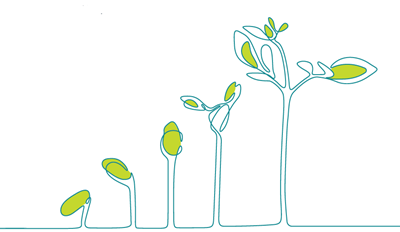 Illustration showing stages of plant growth from seed to mature plant, with green leaves and teal outline on a white background.