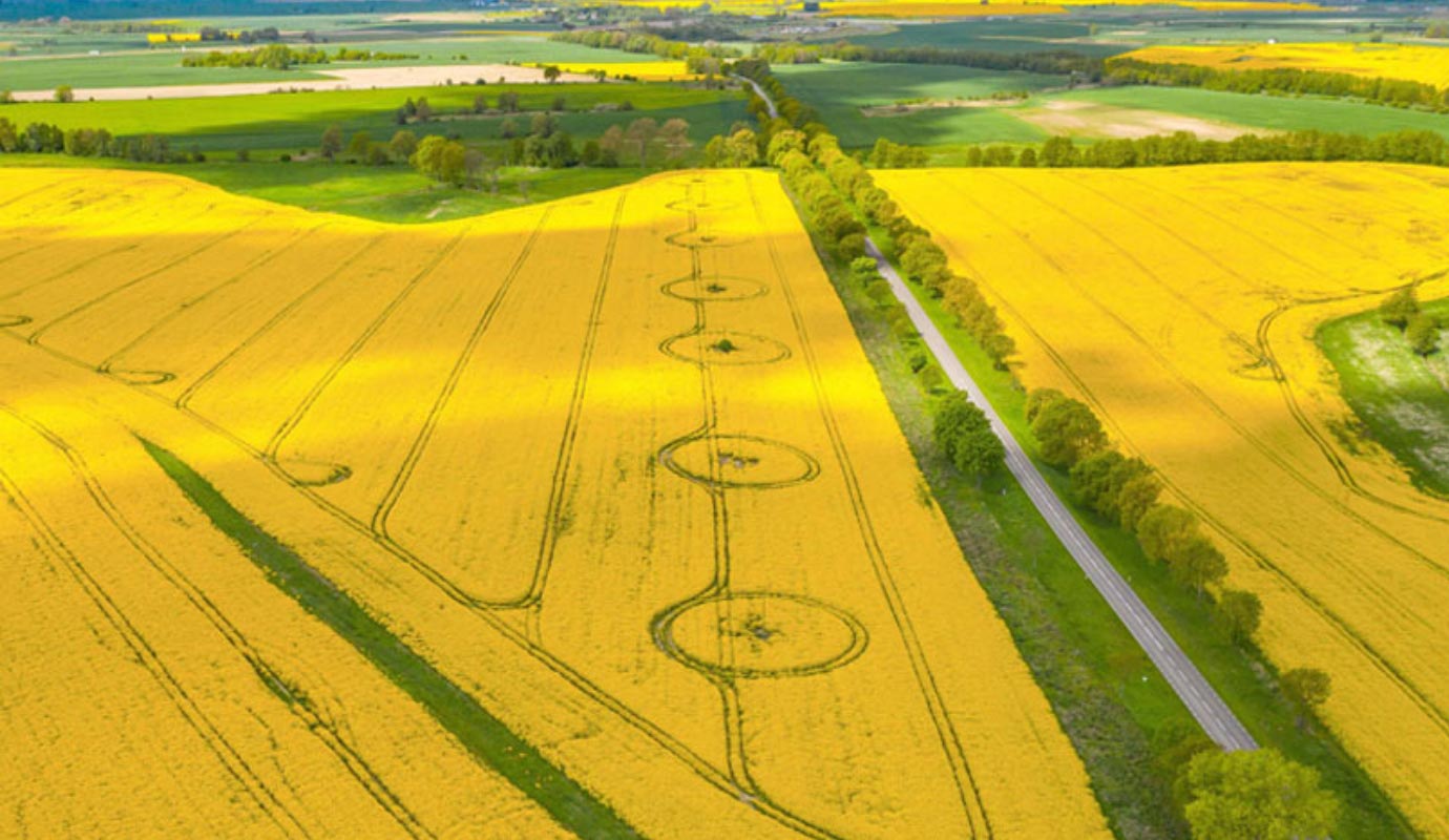 aerial view of farmland