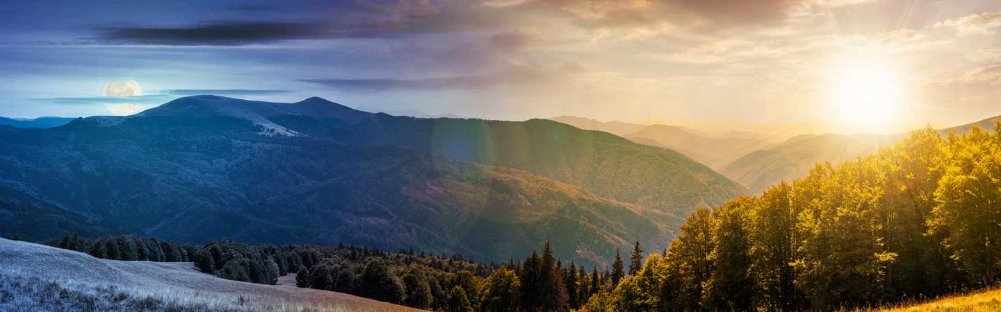 A mountain range and pine forest at sunset