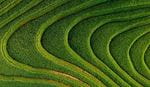 Aerial terraced fields