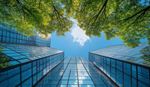 Upward view of modern office buildings with trees
