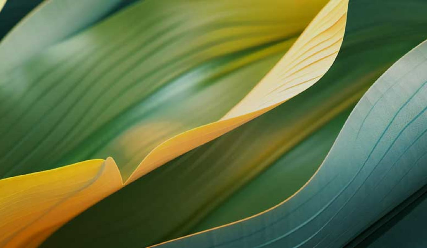 Abstract green leaf