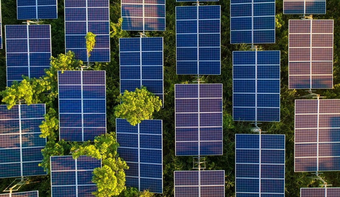 Birds eye view of a collection of solar panels