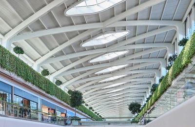 Bright atrium with green walls and architectural ceiling