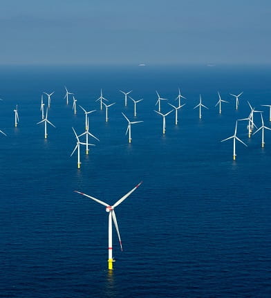A wind farm in a large body of water
