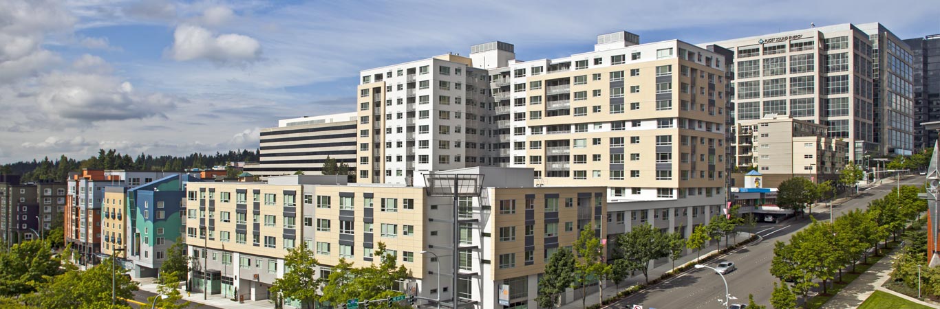 Building exteriors along a tree-lined street