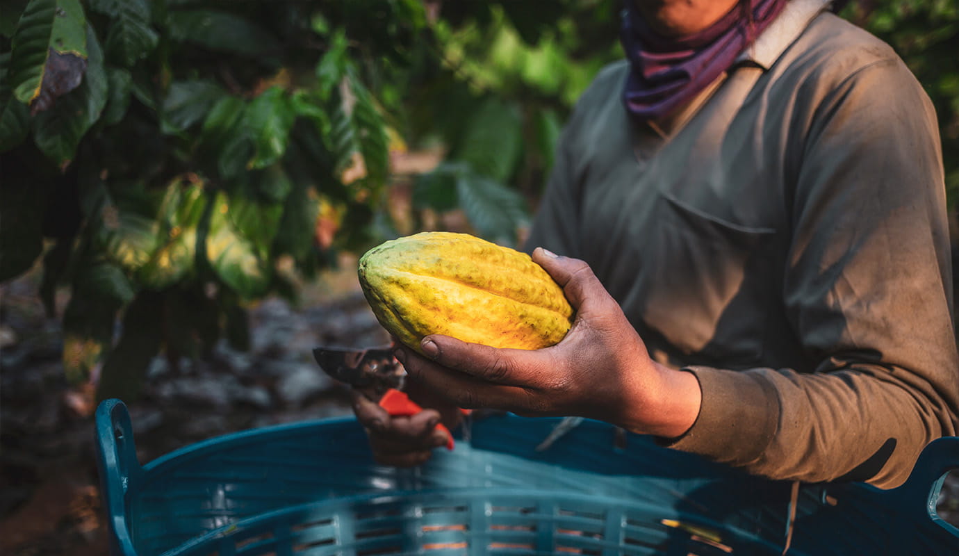 A person's hand handing food to another person