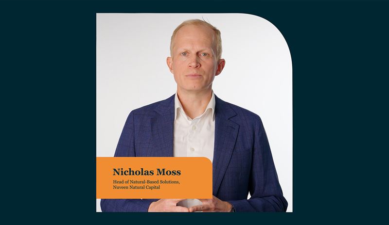Nicholas Moss thumbnail